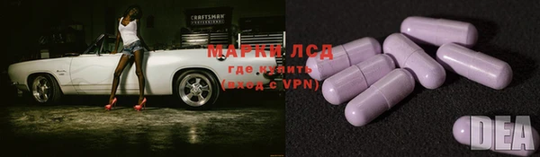 спиды Медвежьегорск