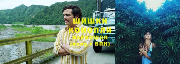 трава Михайловка