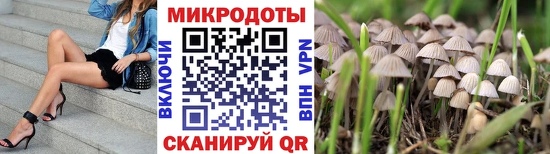 Галлюциногенные грибы Cubensis  Купить закладки  Самара 